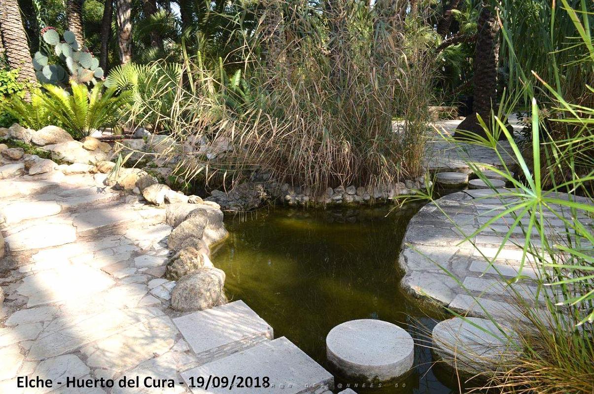 19 ELCHE HUERTO DEL CURA (85).JPG